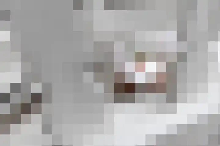 Sleutelsteeg 2 a Weesp thumbnail 26