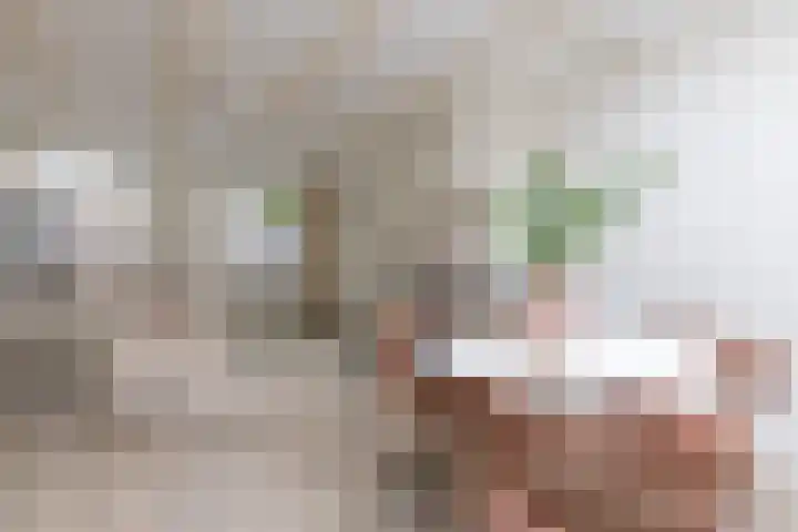Sleutelsteeg 2 a Weesp thumbnail 6