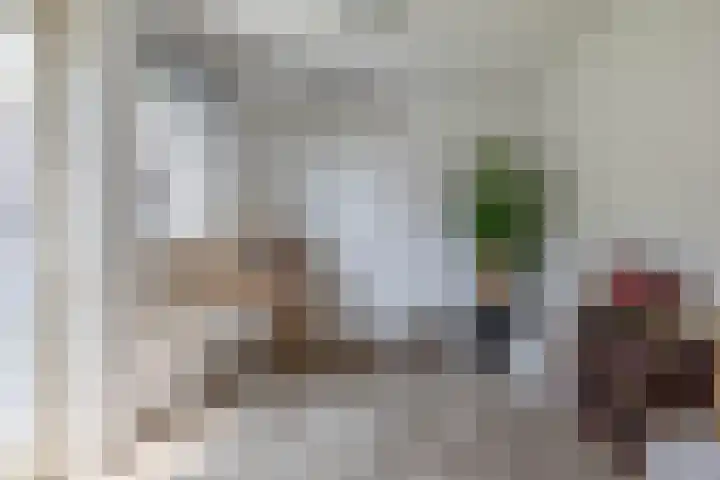 Slijkhout 5 Lemmer thumbnail 22