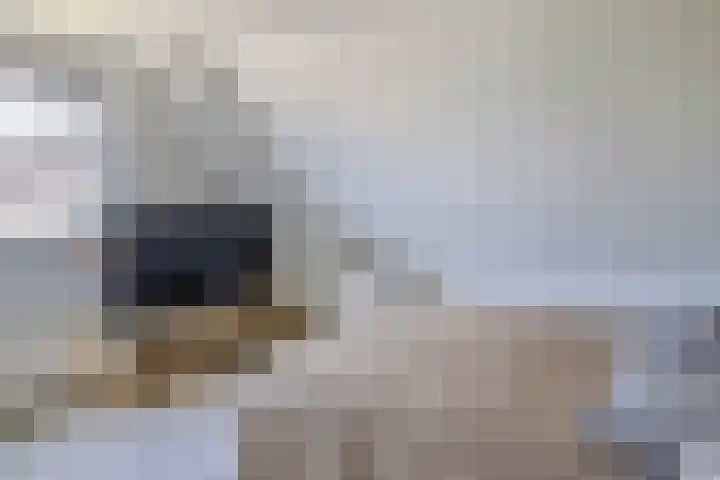 Slijkhout 5 Lemmer thumbnail 34
