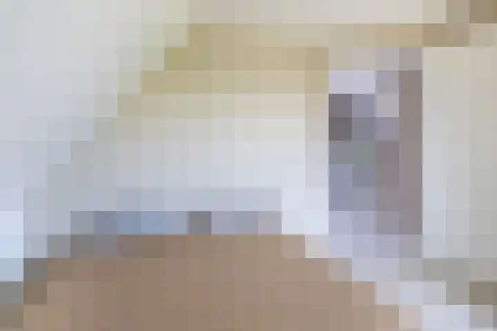 Slijkhout 5 Lemmer thumbnail 35