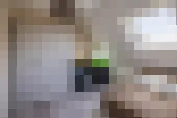 Slijkhout 5 Lemmer thumbnail 37