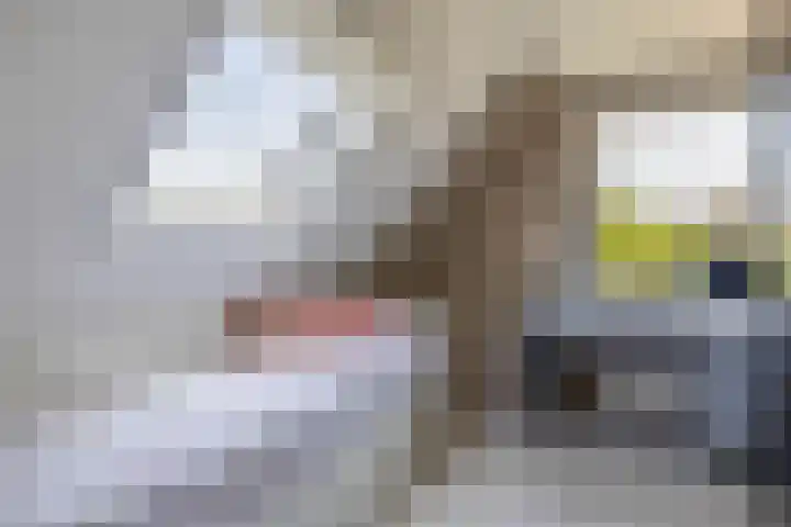 Slijkhout 5 Lemmer thumbnail 38