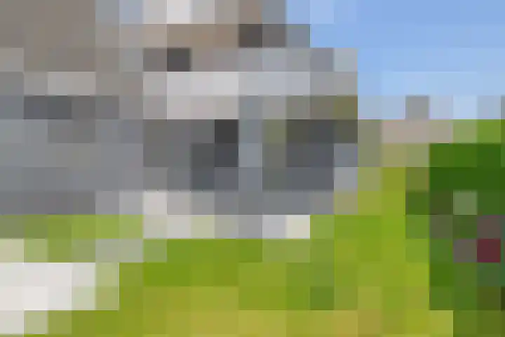 Slijkhout 5 Lemmer thumbnail 39