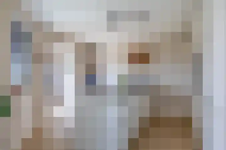 Slijkhout 5 Lemmer thumbnail 4