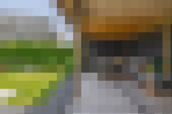 Slijkhout 5 Lemmer thumbnail 42