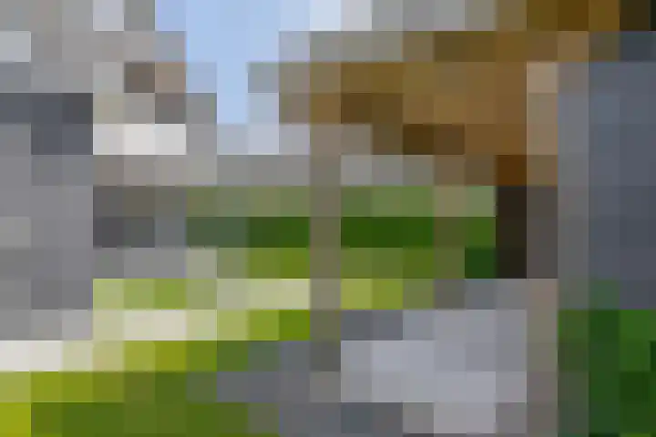 Slijkhout 5 Lemmer thumbnail 43
