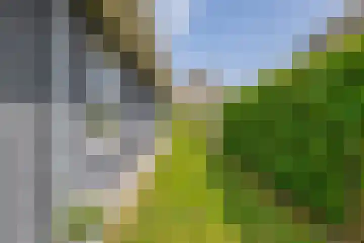 Slijkhout 5 Lemmer thumbnail 44