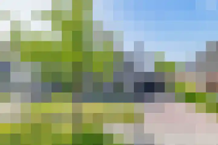 Slijkhout 5 Lemmer thumbnail 46