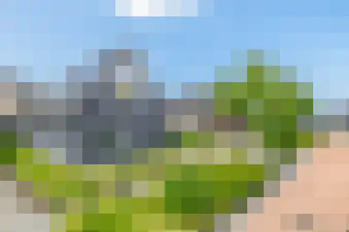 Slijkhout 5 Lemmer thumbnail 47