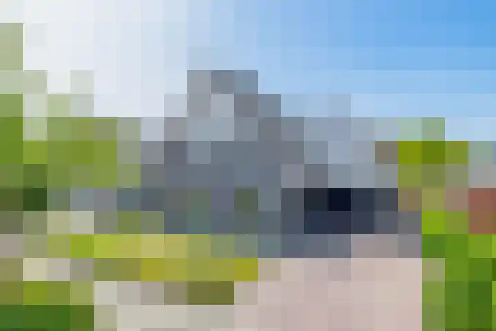 Slijkhout 5 Lemmer thumbnail 48