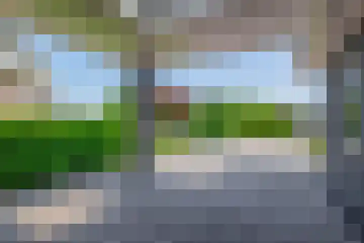 Slijkhout 5 Lemmer thumbnail 6