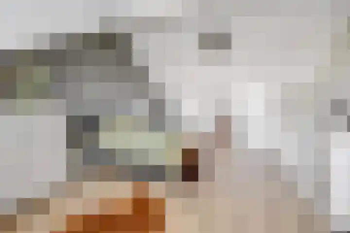 Slijpsteen 5 Zuidland thumbnail 27