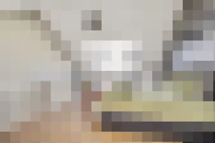 Slijpsteen 5 Zuidland thumbnail 28