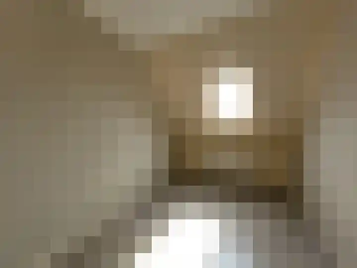 Slikkerdijk 8 Wervershoof thumbnail 12