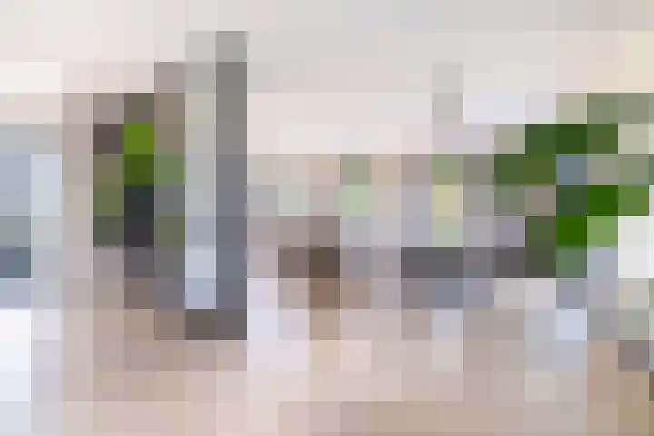 Slikveld 8 Rockanje thumbnail 12