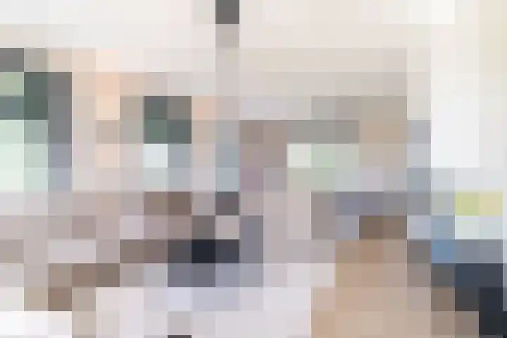 Slikveld 8 Rockanje thumbnail 15