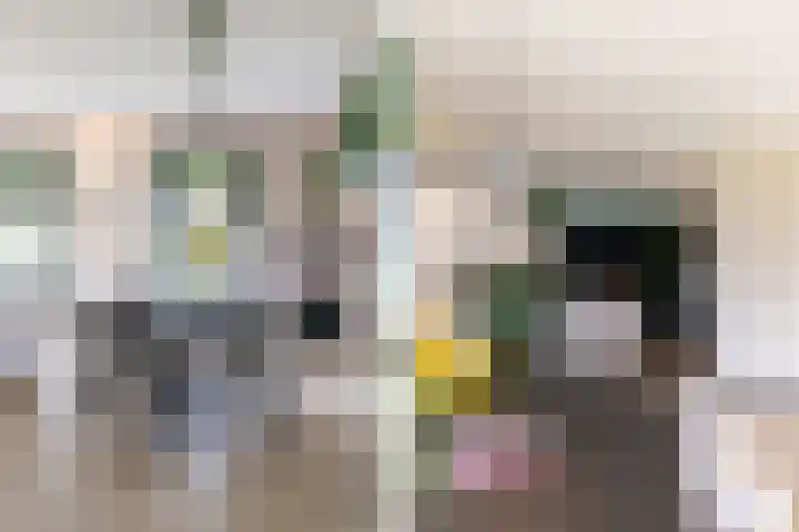 Slikveld 8 Rockanje thumbnail 18