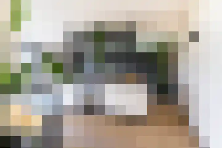 Slikveld 8 Rockanje thumbnail 19