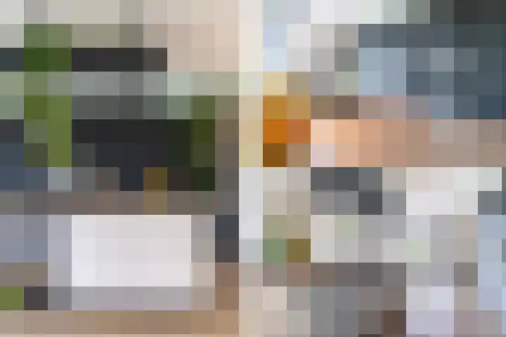 Slikveld 8 Rockanje thumbnail 20