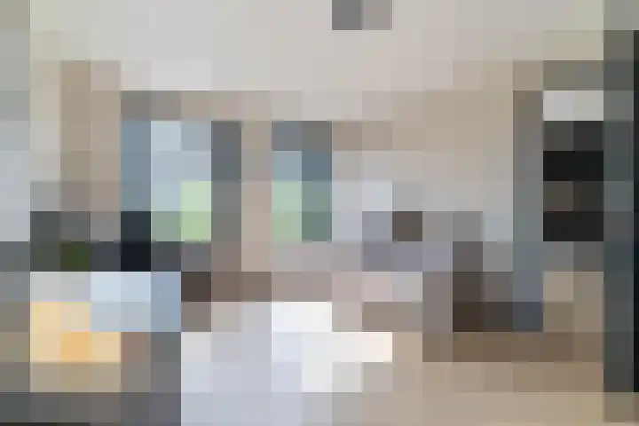 Slikveld 8 Rockanje thumbnail 24