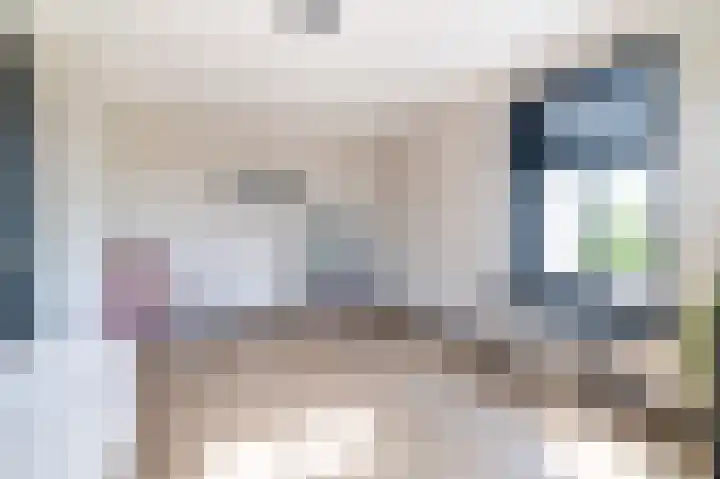 Slikveld 8 Rockanje thumbnail 26