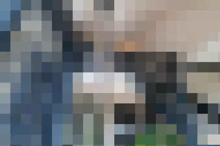 Slikveld 8 Rockanje thumbnail 29