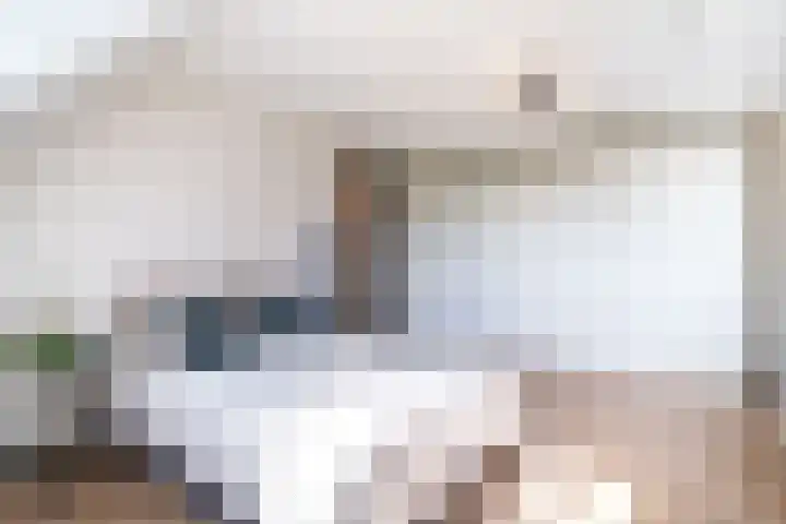Slikveld 8 Rockanje thumbnail 37