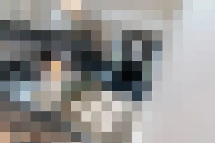 Slikveld 8 Rockanje thumbnail 49