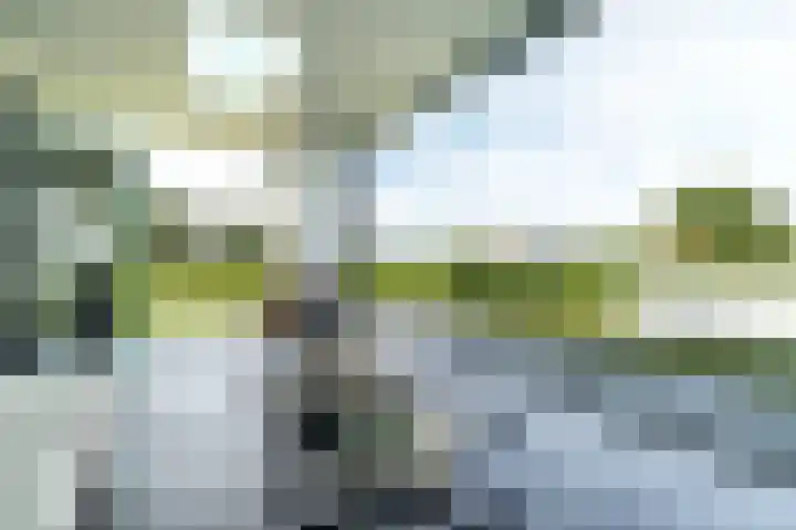 Slikveld 8 Rockanje thumbnail 54