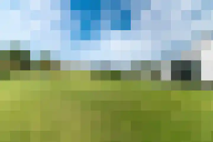 Slikveld 8 Rockanje thumbnail 58