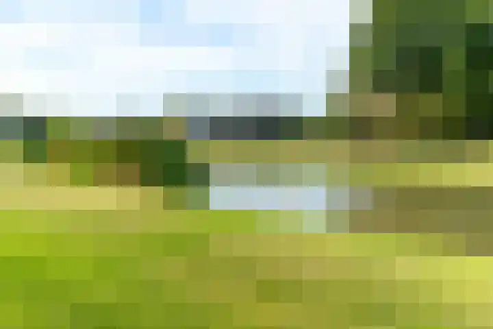 Slikveld 8 Rockanje thumbnail 60