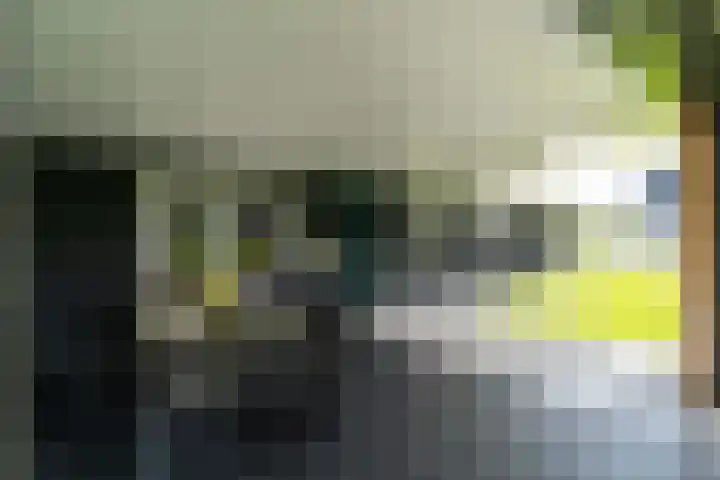 Slikveld 8 Rockanje thumbnail 64