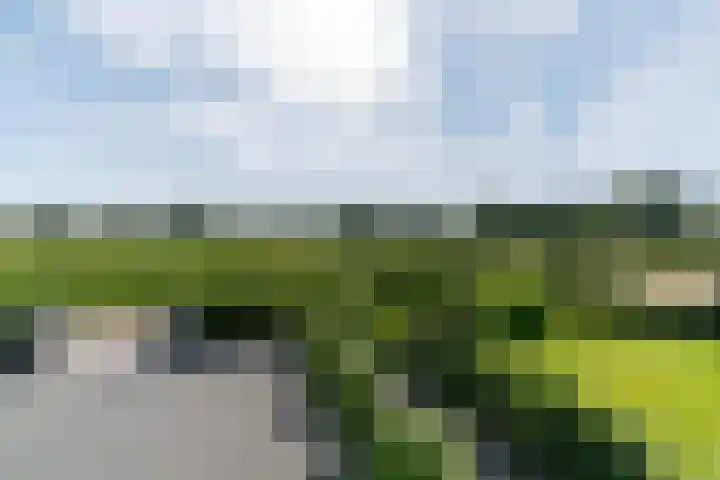 Slikveld 8 Rockanje thumbnail 66