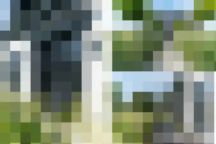Slikveld 8 Rockanje thumbnail 7