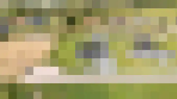 Slikveld 8 Rockanje thumbnail 70