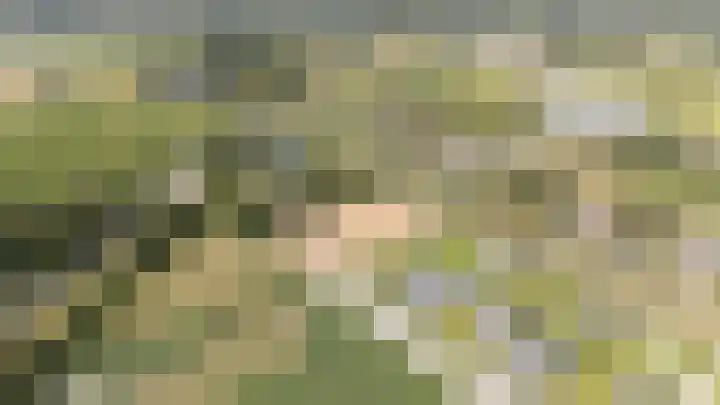 Slikveld 8 Rockanje thumbnail 72