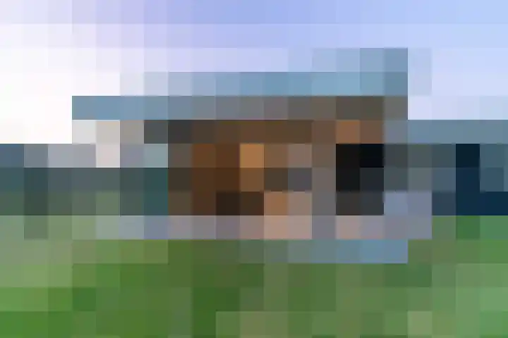 Slikveld 8 Rockanje thumbnail 86