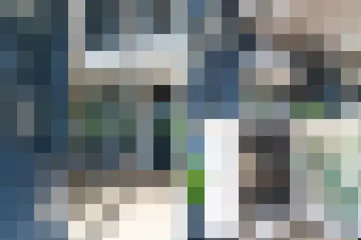 Slikveld 8 Rockanje thumbnail 9