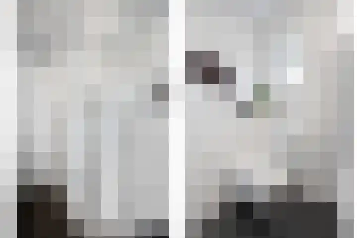 Slinger 38 Beuningen Gld thumbnail 22