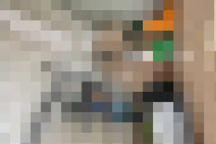 Slinger 38 Beuningen Gld thumbnail 34