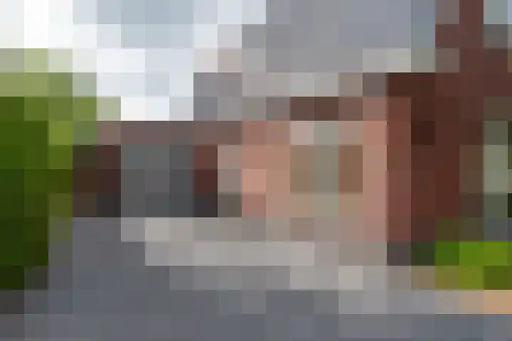 Slinger 46 Beuningen Gld thumbnail 14