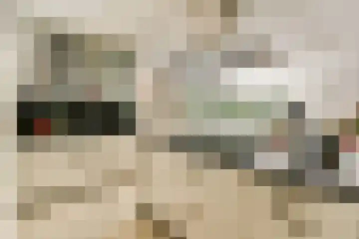 Slinger 46 Beuningen Gld thumbnail 9