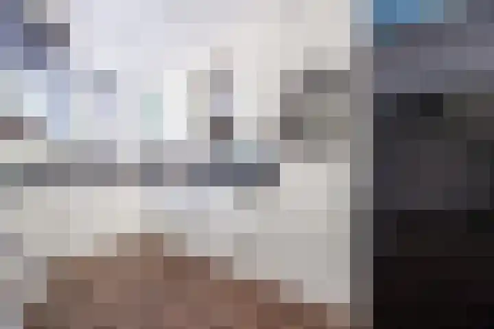 Slinger 73 Beuningen Gld thumbnail 11
