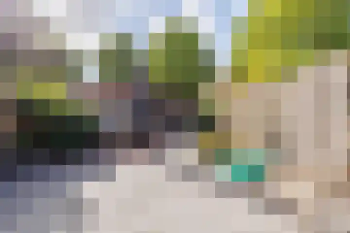 Slinger 73 Beuningen Gld thumbnail 23