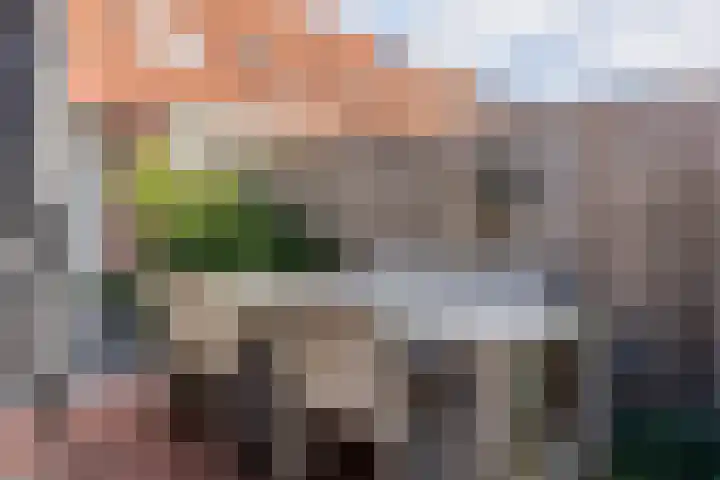 Slinger 73 Beuningen Gld thumbnail 25