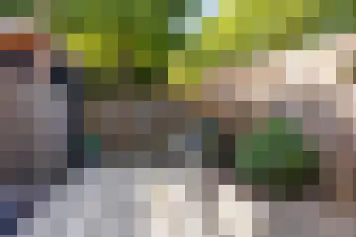 Slinger 73 Beuningen Gld thumbnail 26