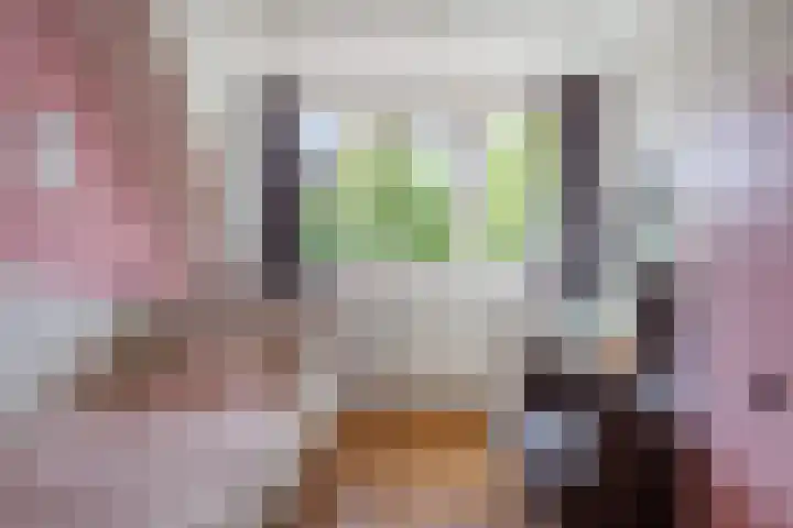 Slinger 73 Beuningen Gld thumbnail 30