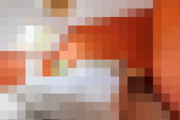 Slinger 73 Beuningen Gld thumbnail 36