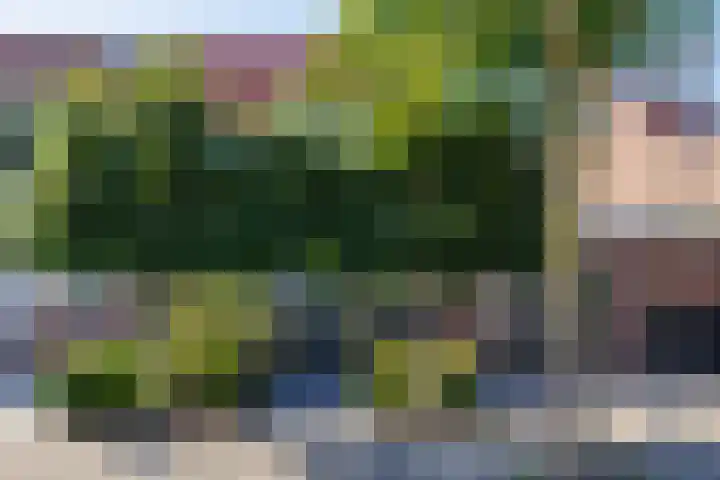 Slinger 73 Beuningen Gld thumbnail 4
